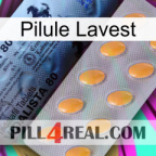 Lavest Pill 44